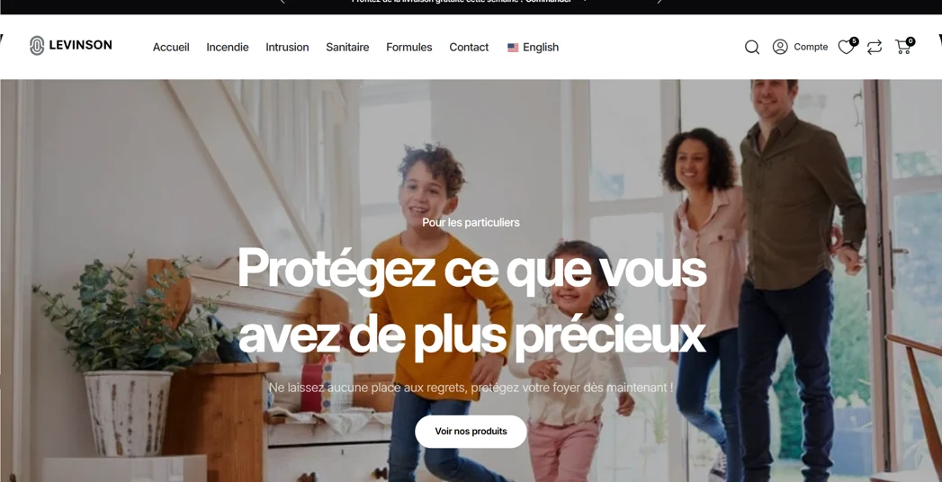 Levinson Sécurité